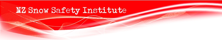 NZSSI Banner